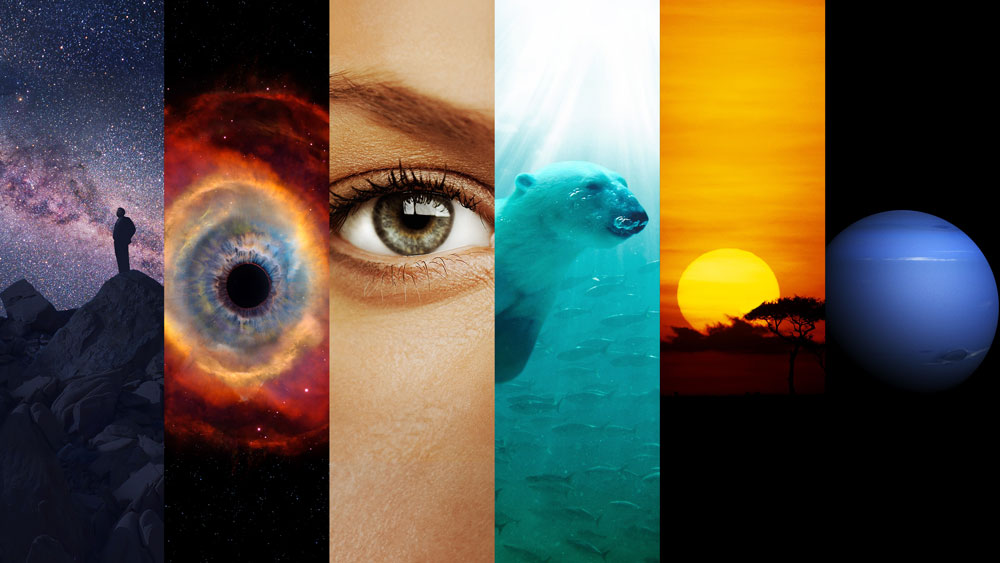 دانلود سریال Cosmos: A Spacetime Odyssey ( کیهان: اُدیسه‌ی فضا-زمان ) با زیرنویس فارسی چسبیده