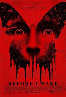 Before I Wake