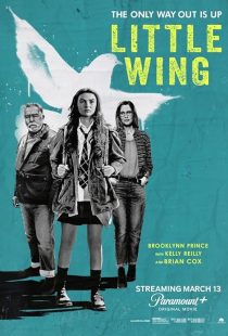 Little Wing
