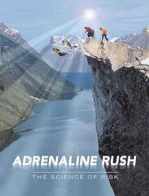 Adrenaline Rush: The Science of Risk