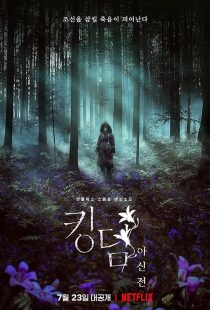 "Kingdom" Kingdom: Ashin of the North