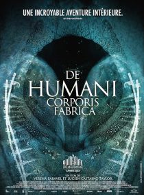 The Fabric of the Human Body