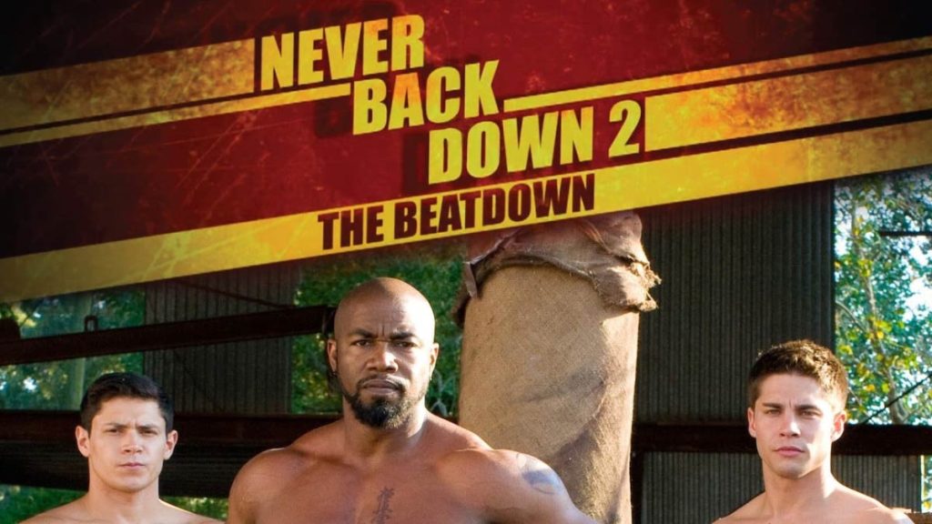 دانلود فیلم 2011 Never Back Down 2: The Beatdown ( هرگز عقب‌نشینی نکن ۲: نابودی ۲۰۱۱ ) با زیرنویس فارسی چسبیده